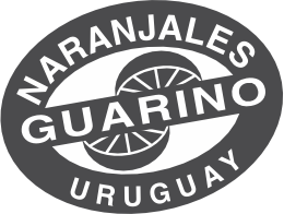 Guarino
